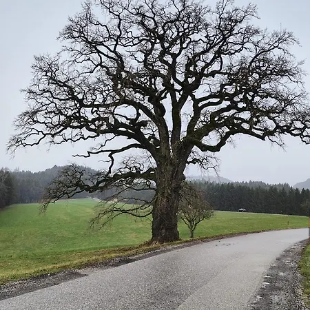 Pension Donaublick 2 In Stifterstrasse19. Apartman