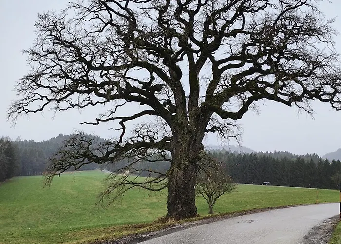 Pension Donaublick 2 In Stifterstrasse19. Apartman