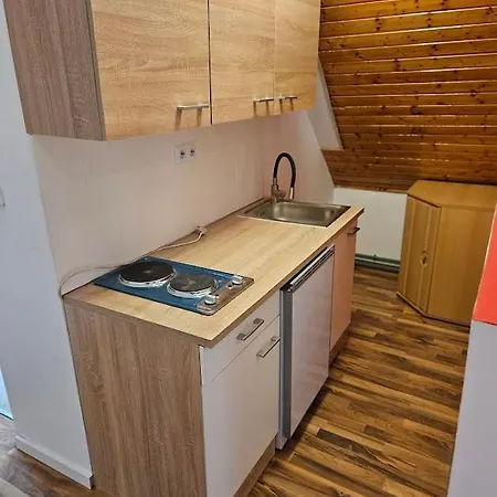 Pension Donaublick 2 In Stifterstrasse19. Apartament *